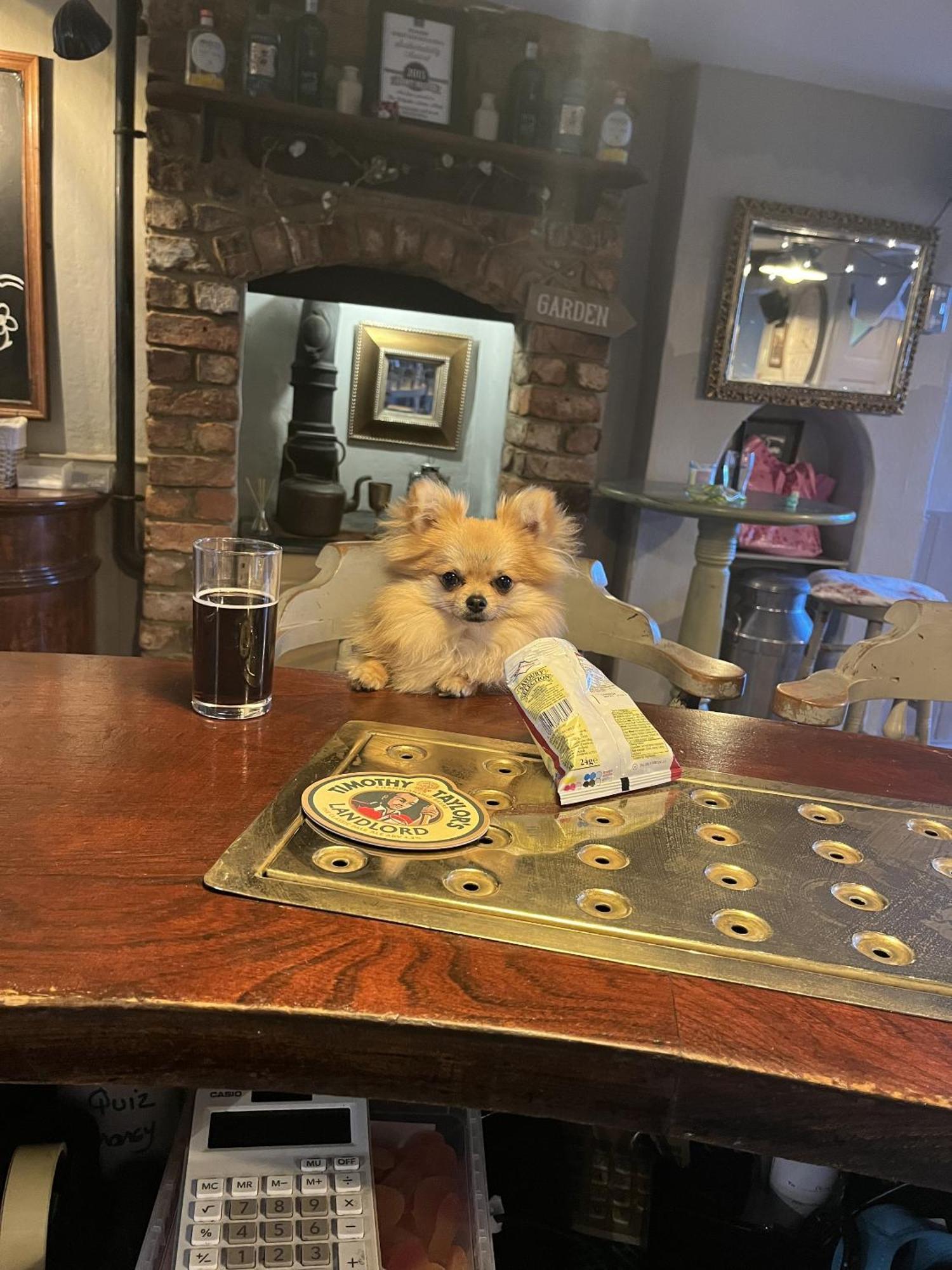 The Ilchester Arms Hotel Abbotsbury Extérieur photo